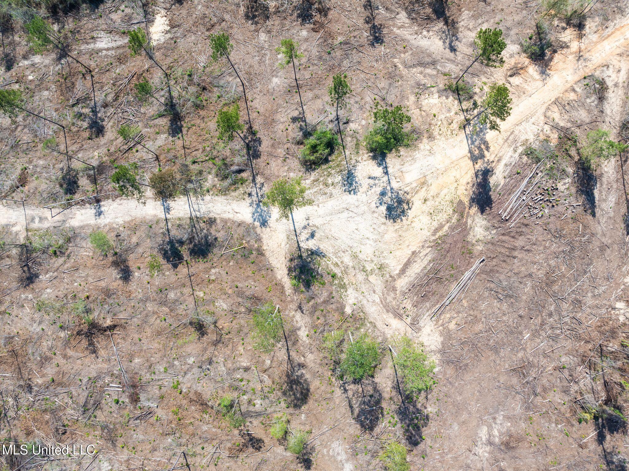 16.27 Shirley Sanford Road Seminary, MS 39479 - Photo 6 of 6 Shirley_Sanford_Rd_16_27_AC-6