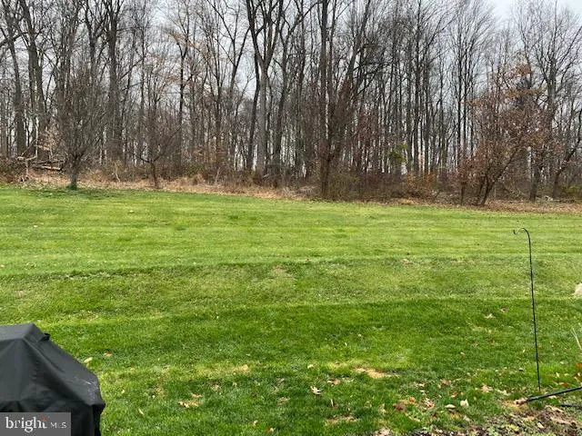 a view of a garden with plants