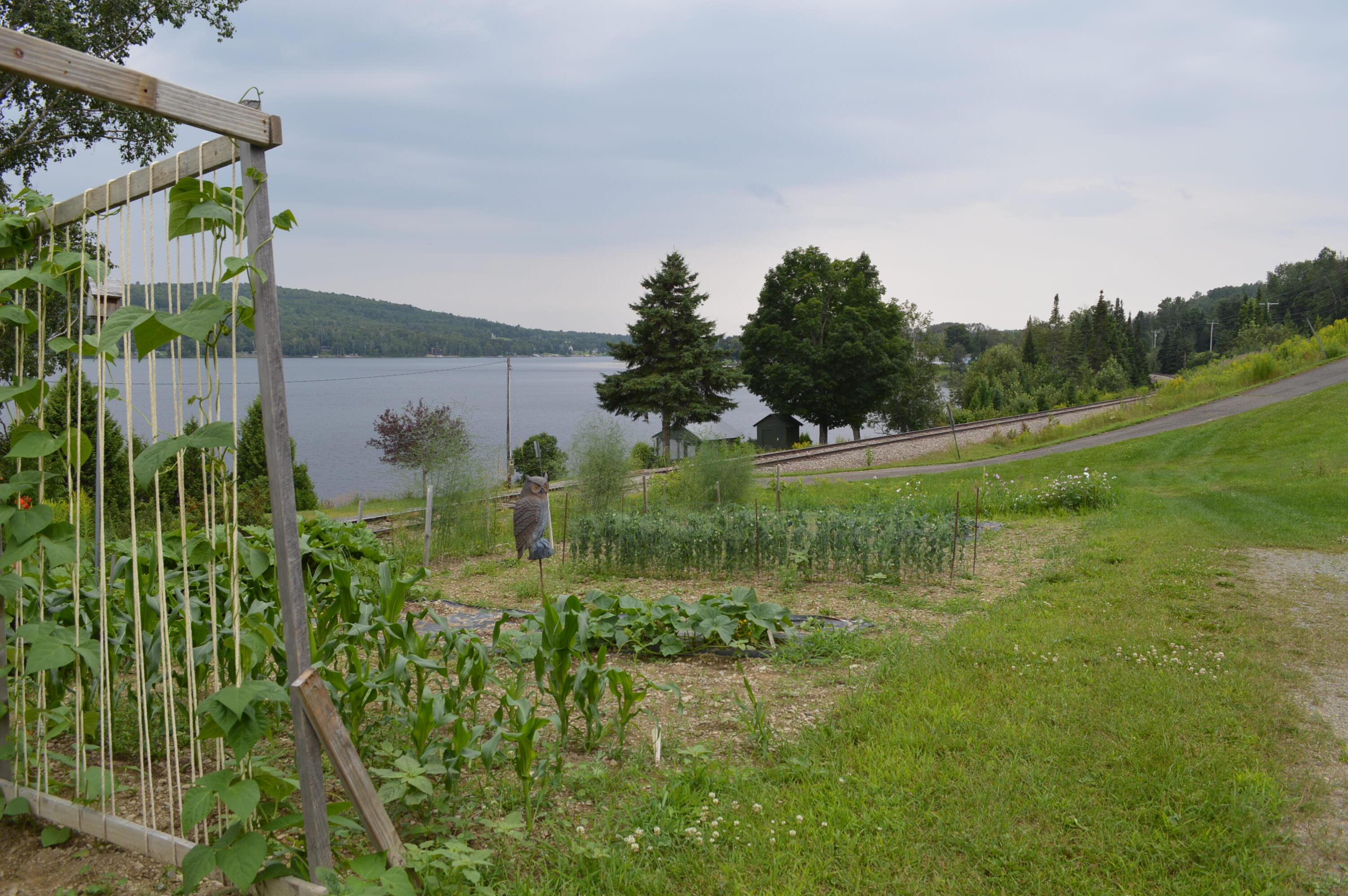 2589 Aroostook Road Eagle Lake, ME 04739 - Photo 24 of 65 Gardens near garage on waterfront side