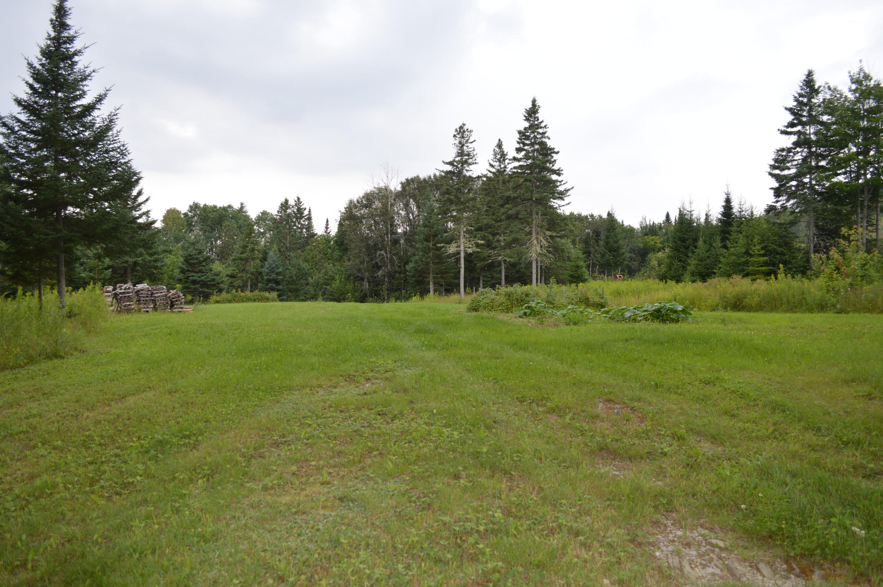 2589 Aroostook Road Eagle Lake, ME 04739 - Photo 29 of 65 Gardens in back field