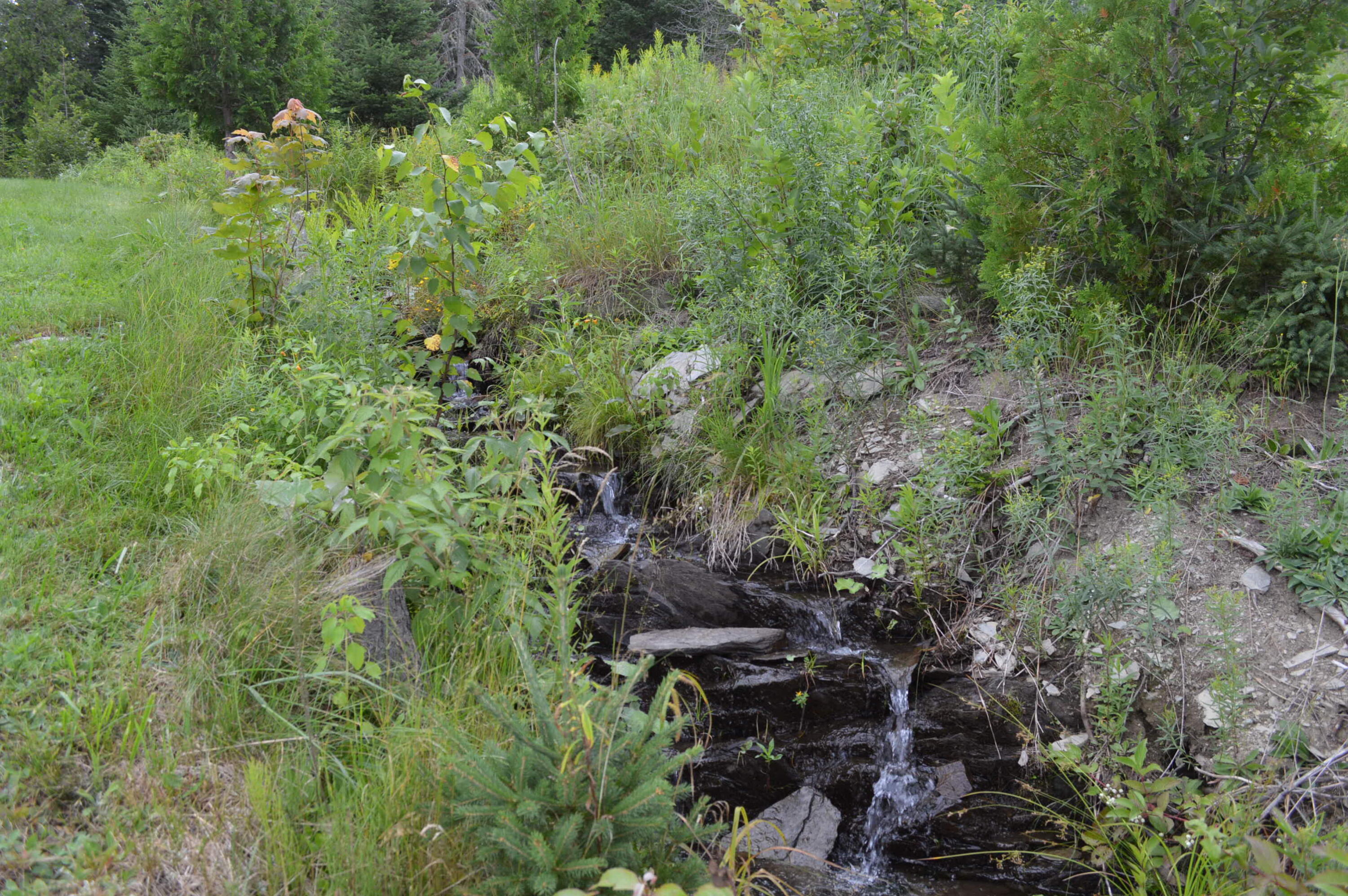 2589 Aroostook Road Eagle Lake, ME 04739 - Photo 64 of 65 Brook