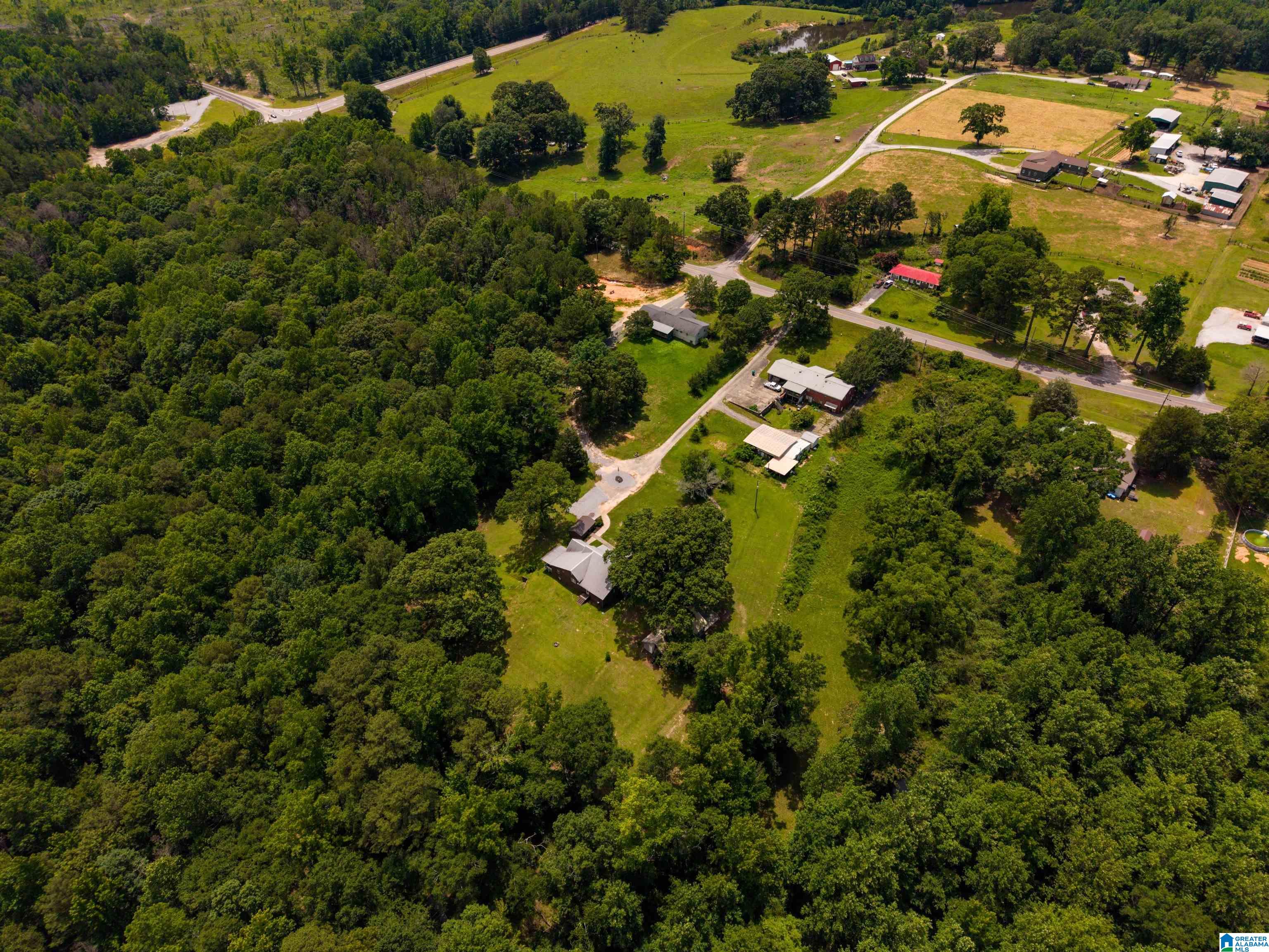 240 Vance Road West Blocton, AL 35184 - Photo 49 of 51