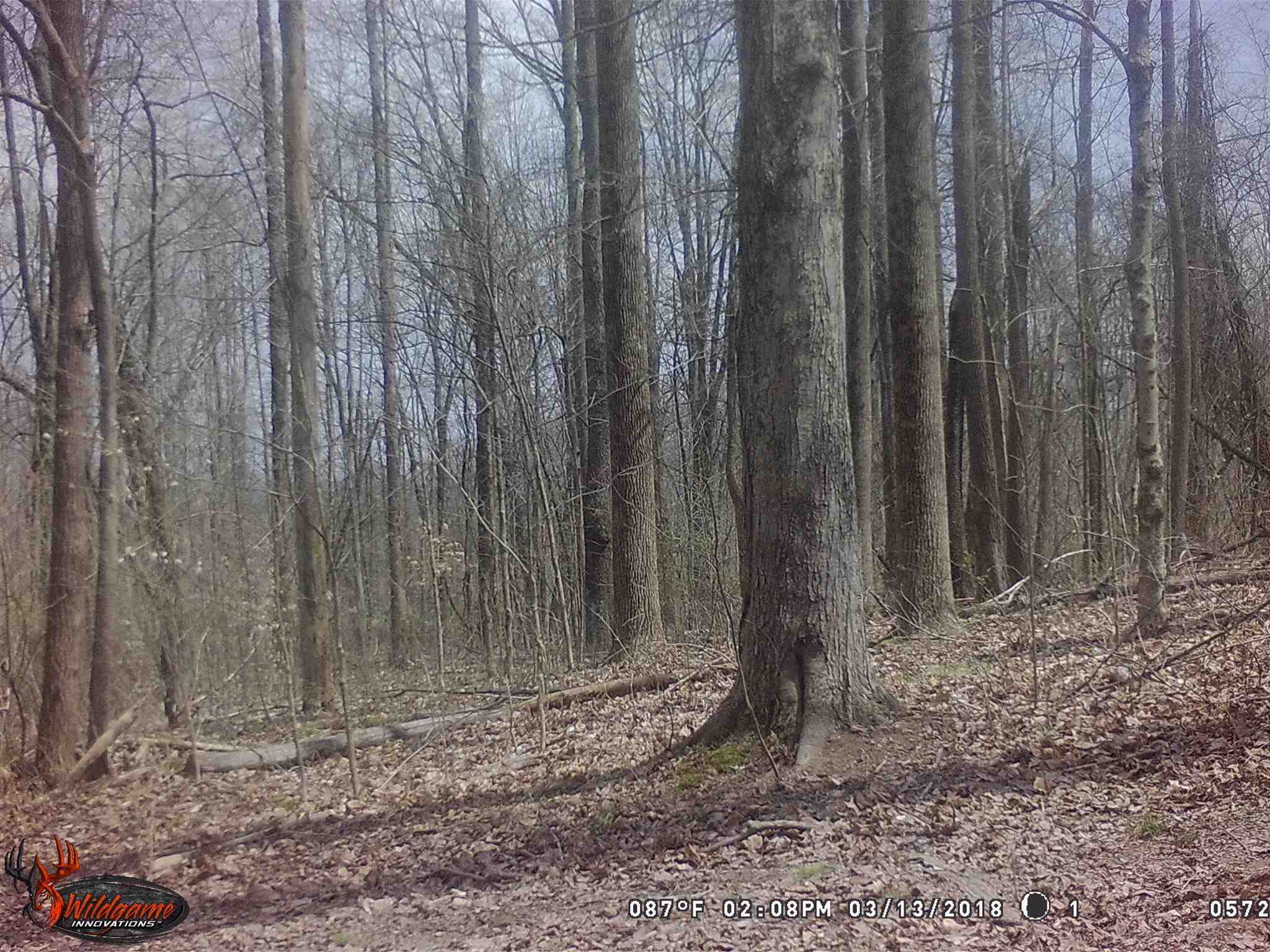 0 North Union School Road Poland, IN 47868 - Photo 1 of 7