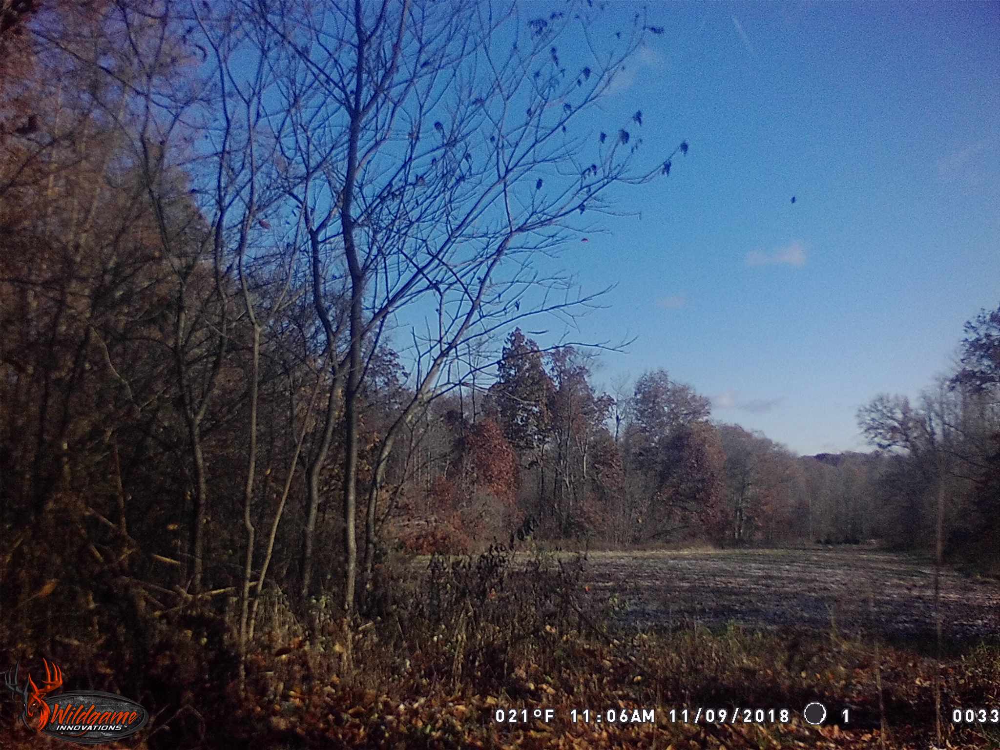 0 North Union School Road Poland, IN 47868 - Photo 2 of 7