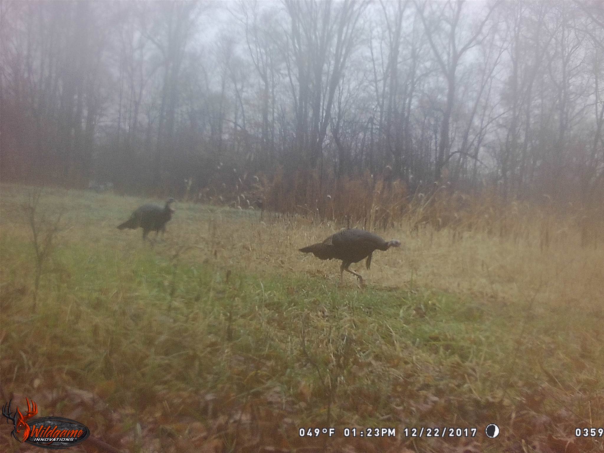 0 North Union School Road Poland, IN 47868 - Photo 3 of 7