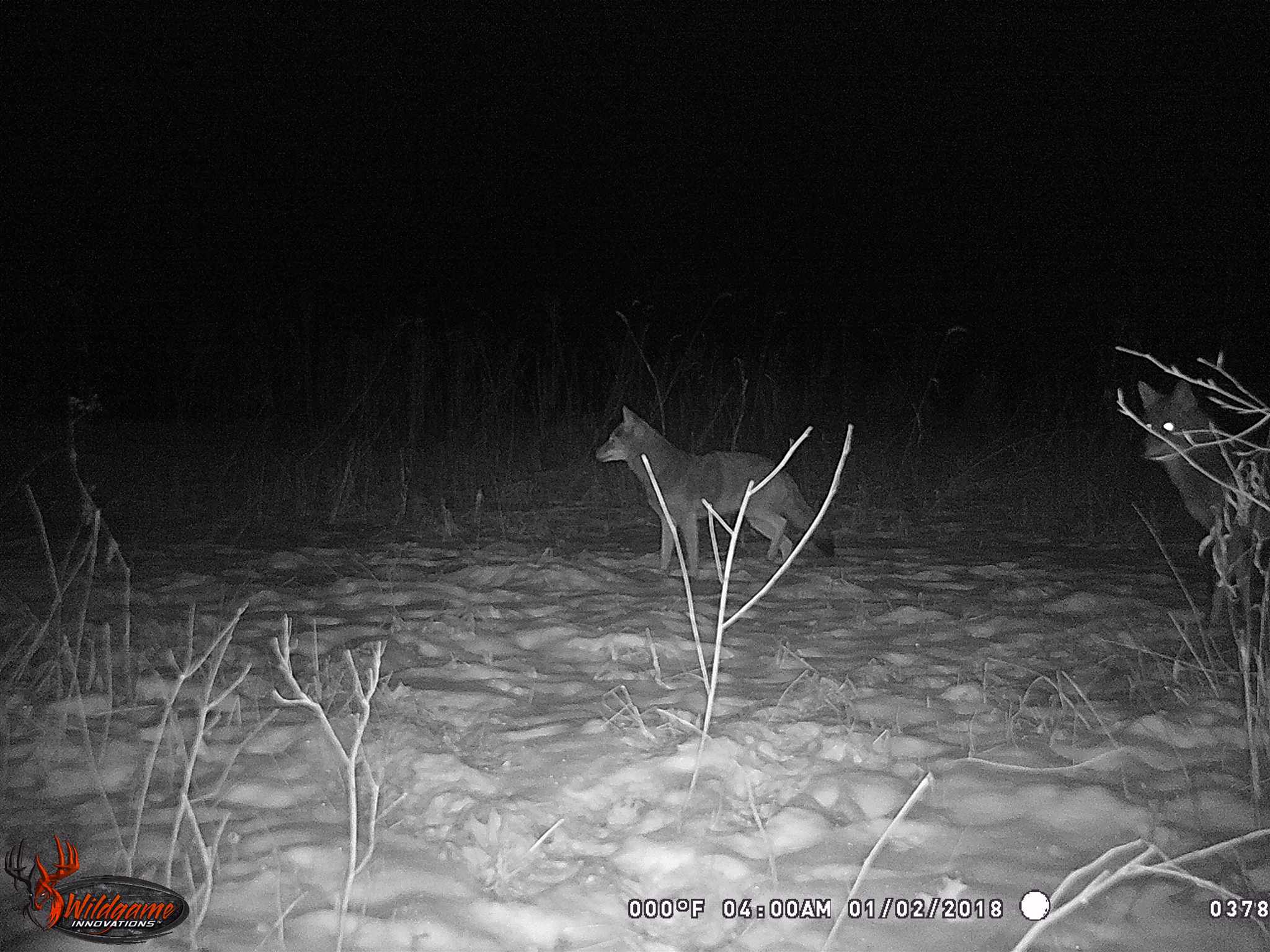 0 North Union School Road Poland, IN 47868 - Photo 4 of 7