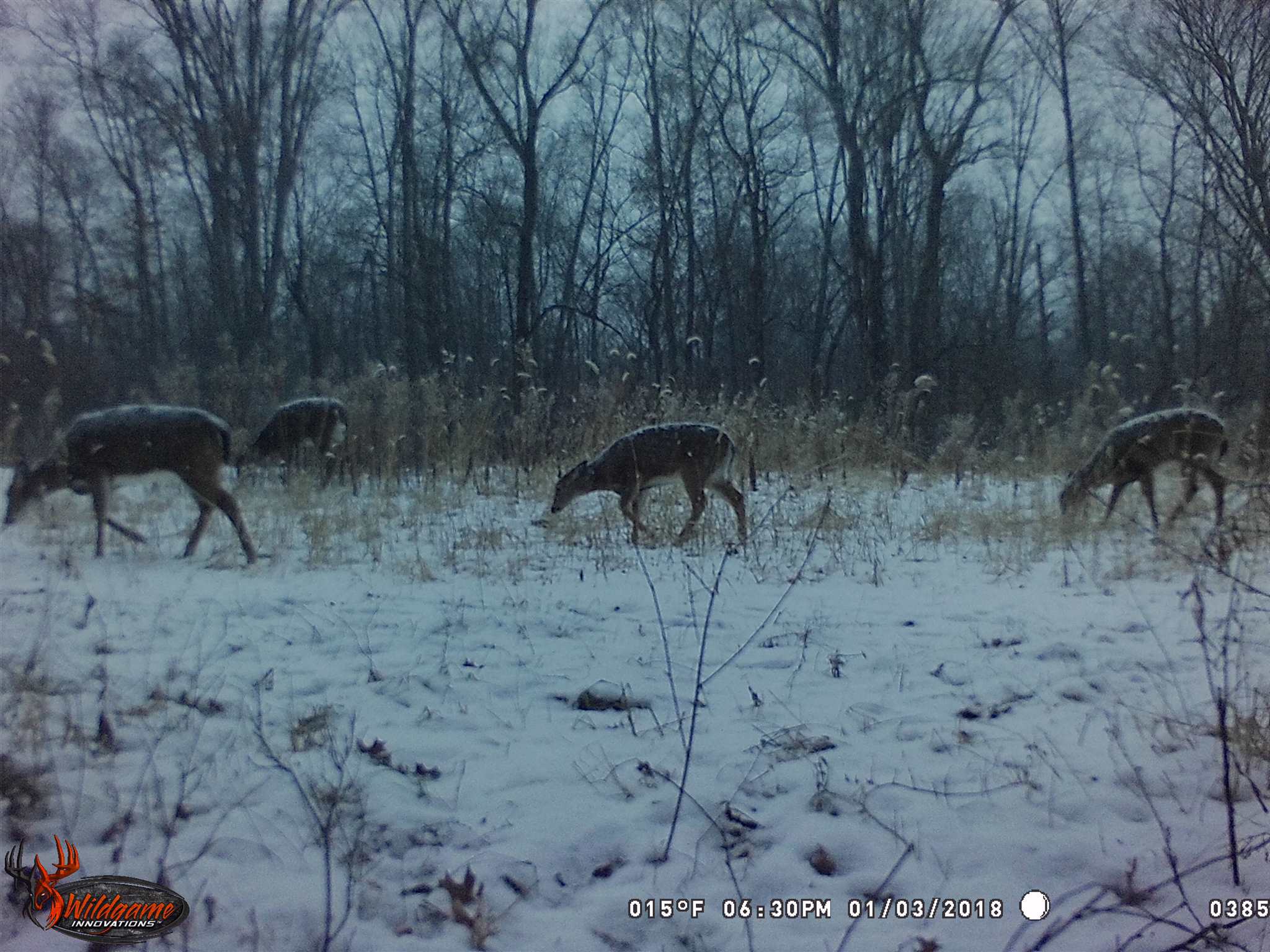 0 North Union School Road Poland, IN 47868 - Photo 5 of 7