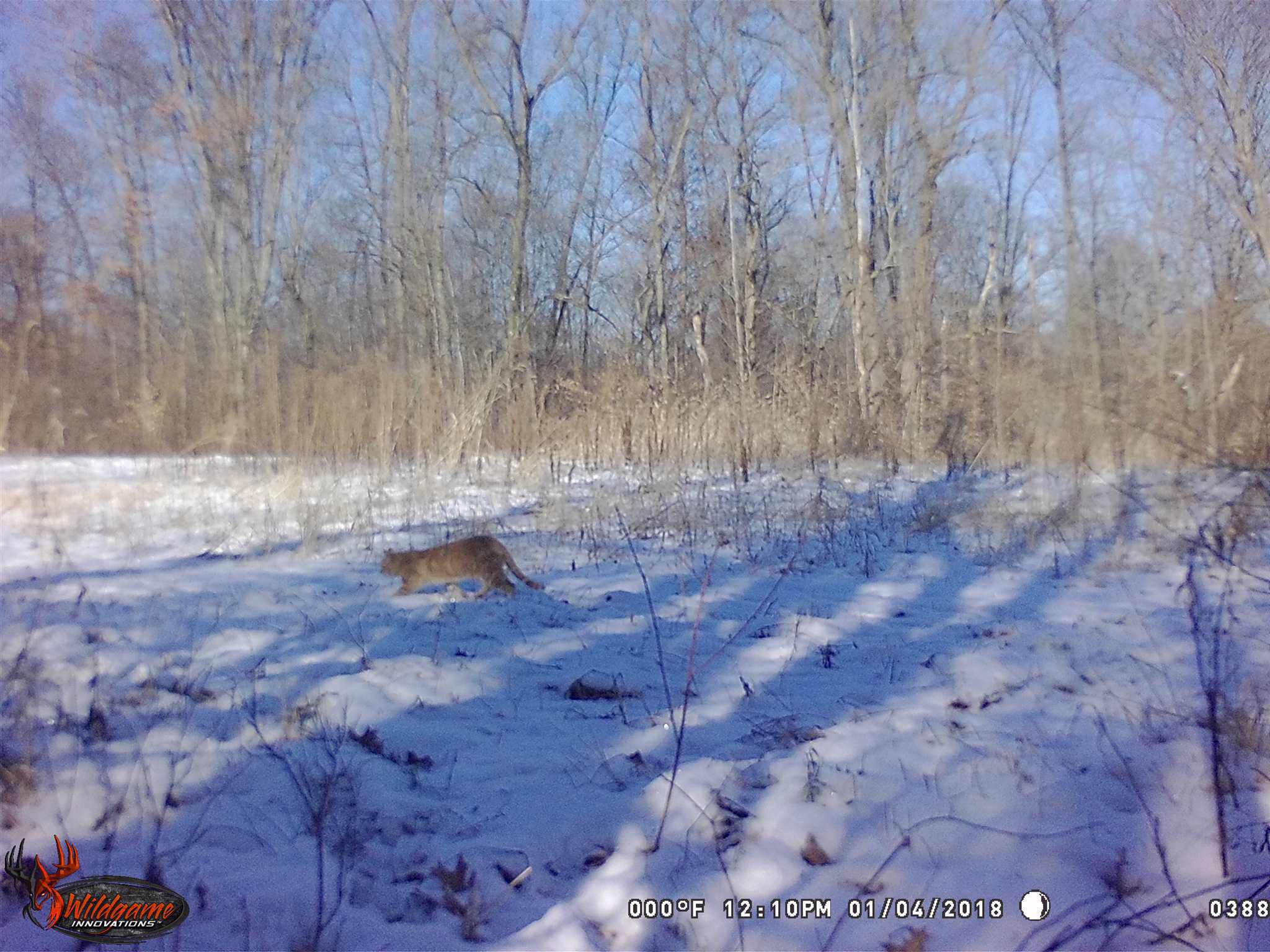 0 North Union School Road Poland, IN 47868 - Photo 6 of 7