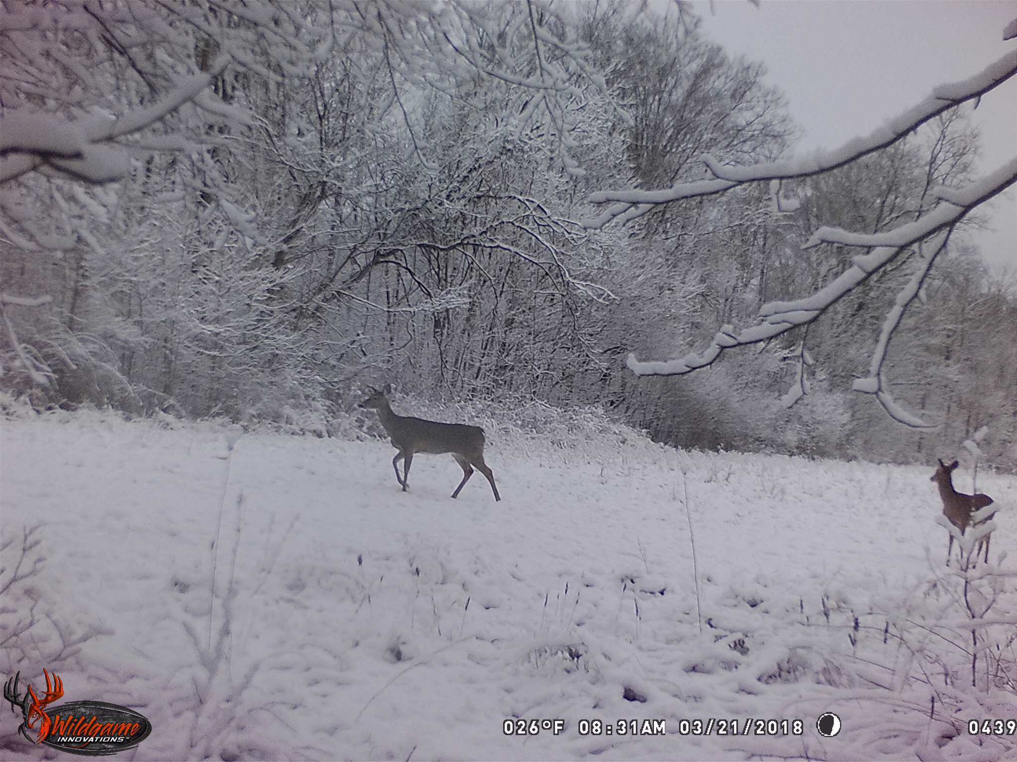 0 North Union School Road Poland, IN 47868 - Photo 7 of 7