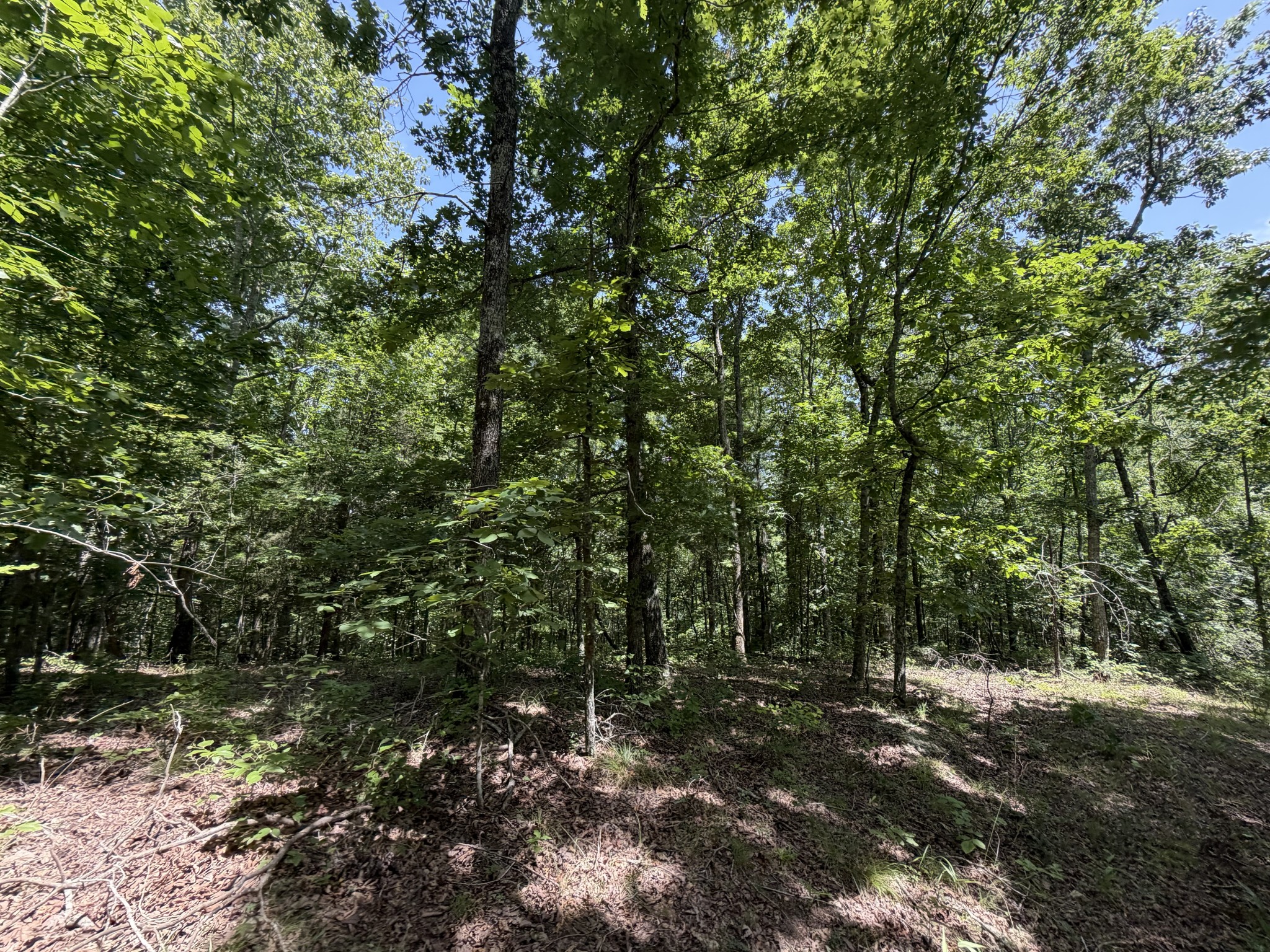 215 Bar Bee Road Hohenwald, TN 38462 - Photo 47 of 51