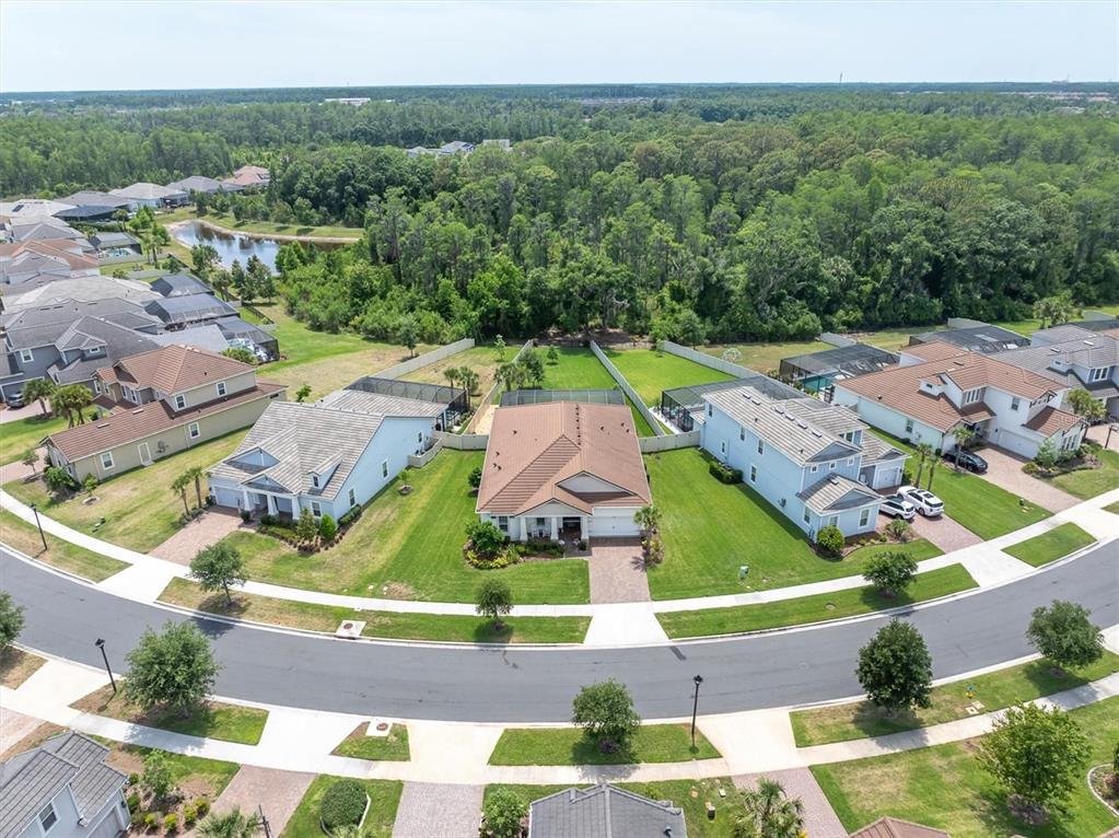 3839 Barbour Trail Odessa, FL 33556 - Photo 47 of 82