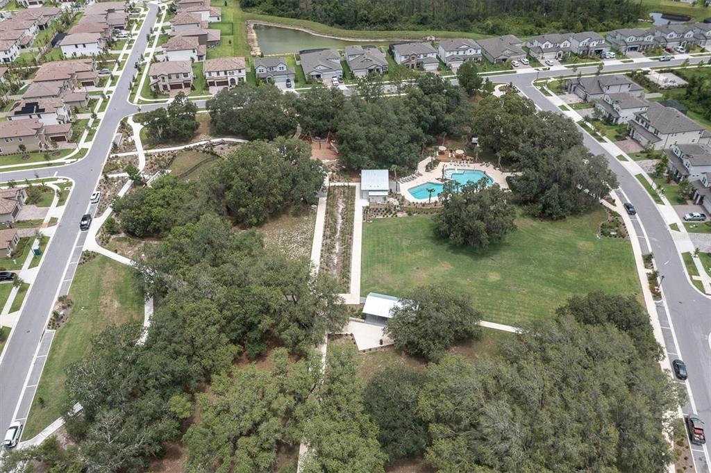 3839 Barbour Trail Odessa, FL 33556 - Photo 59 of 82