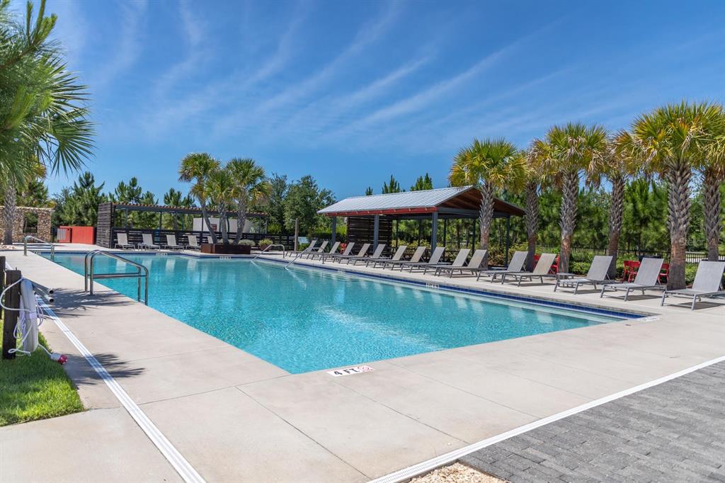 3839 Barbour Trail Odessa, FL 33556 - Photo 68 of 82