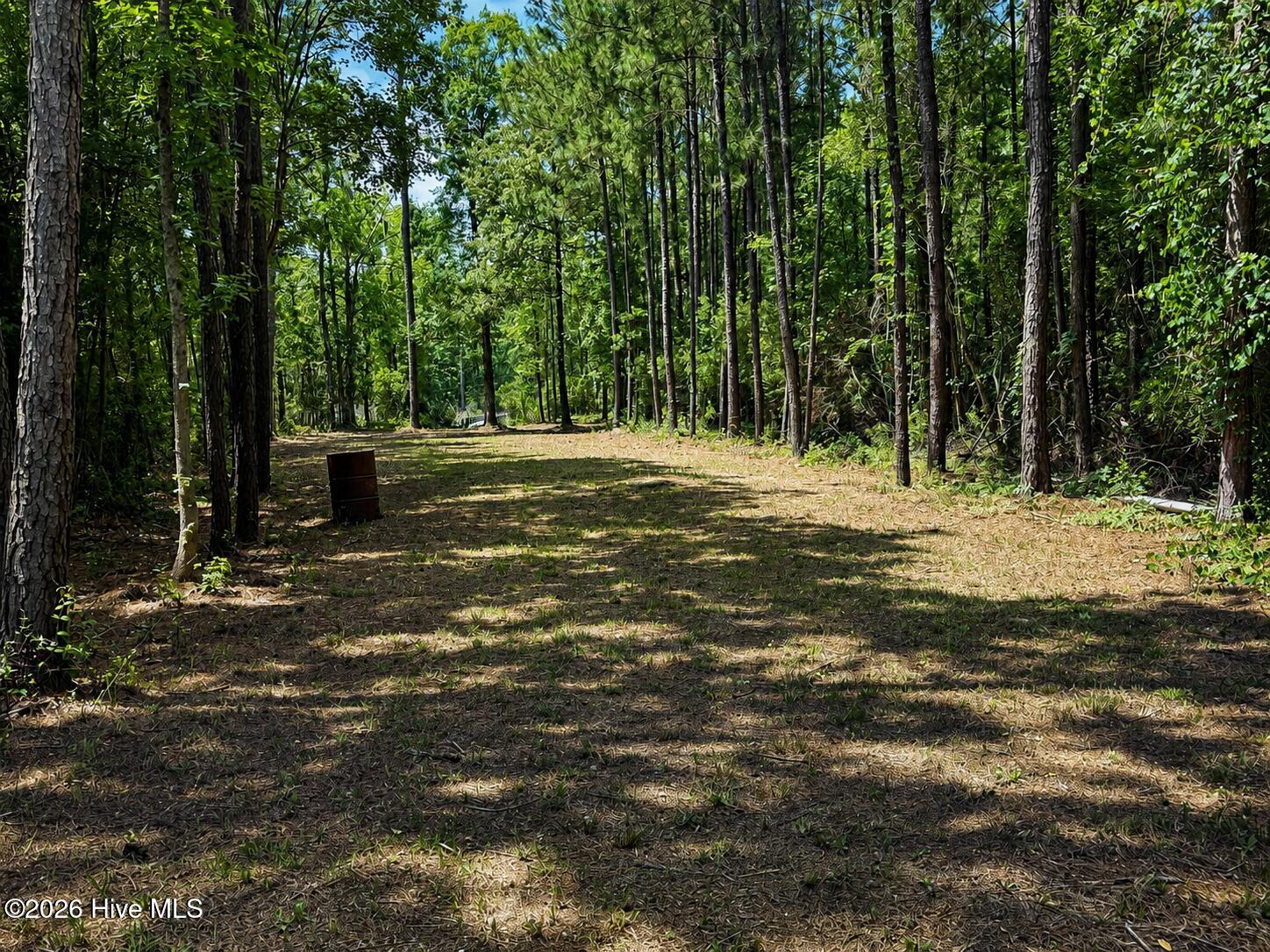 408 Tarpon Pointe Road Bath, NC 27808 - Photo 4 of 14 408 Tarpon drive
