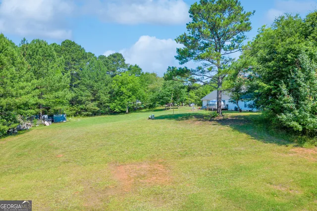 a view of a tree in a garden