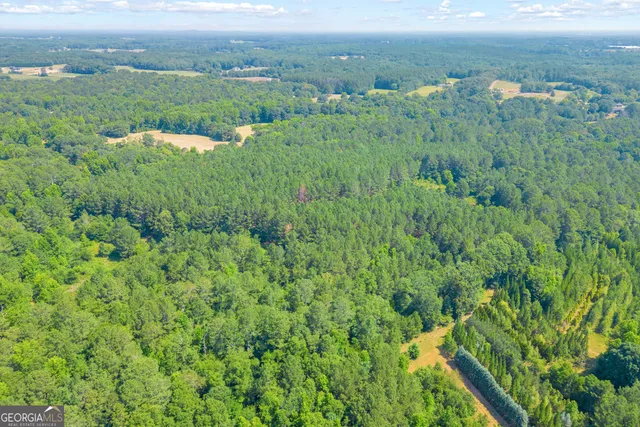 a view of a big yard with large trees