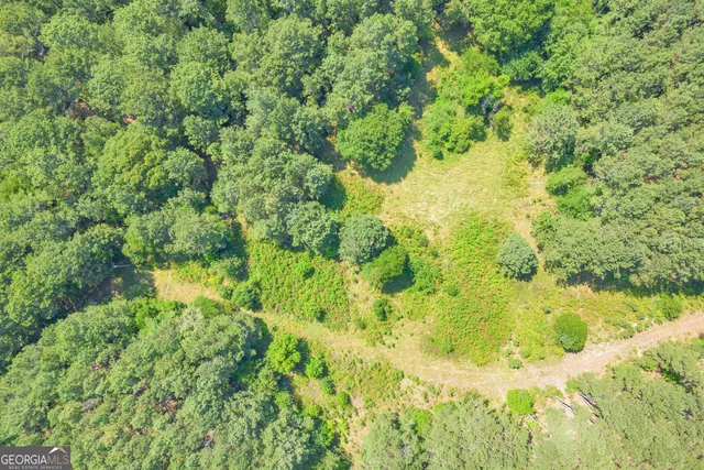 a view of a big yard with lots of green space
