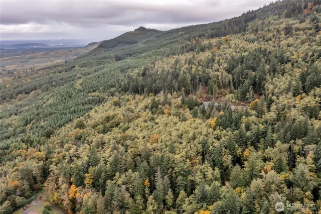 an aerial view of forest