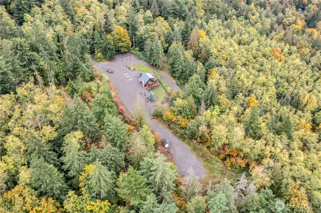 view of a forest with a house