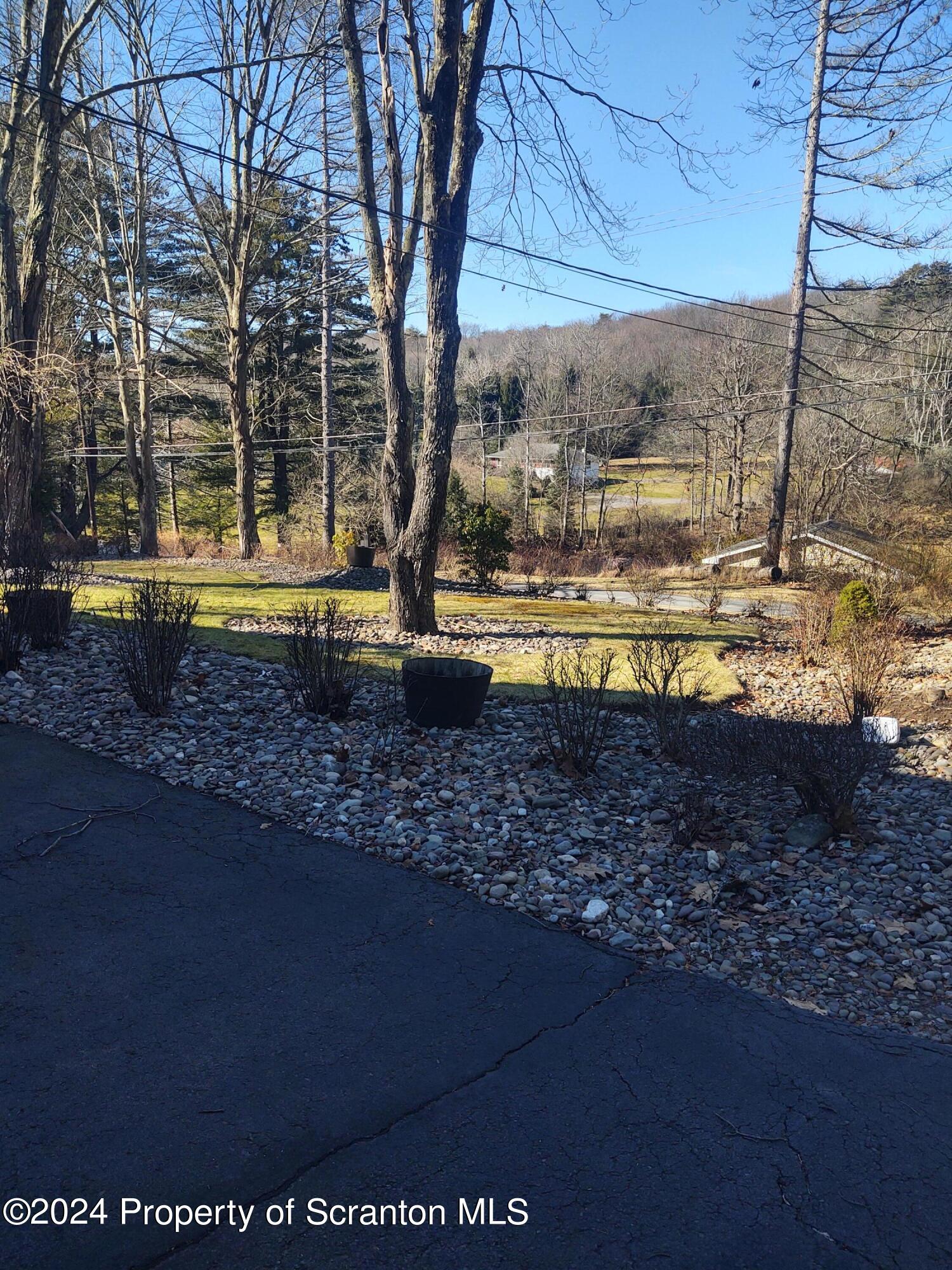 2401 Chase Road Shavertown, PA 18708 - Photo 12 of 19 a view of a yard with trees