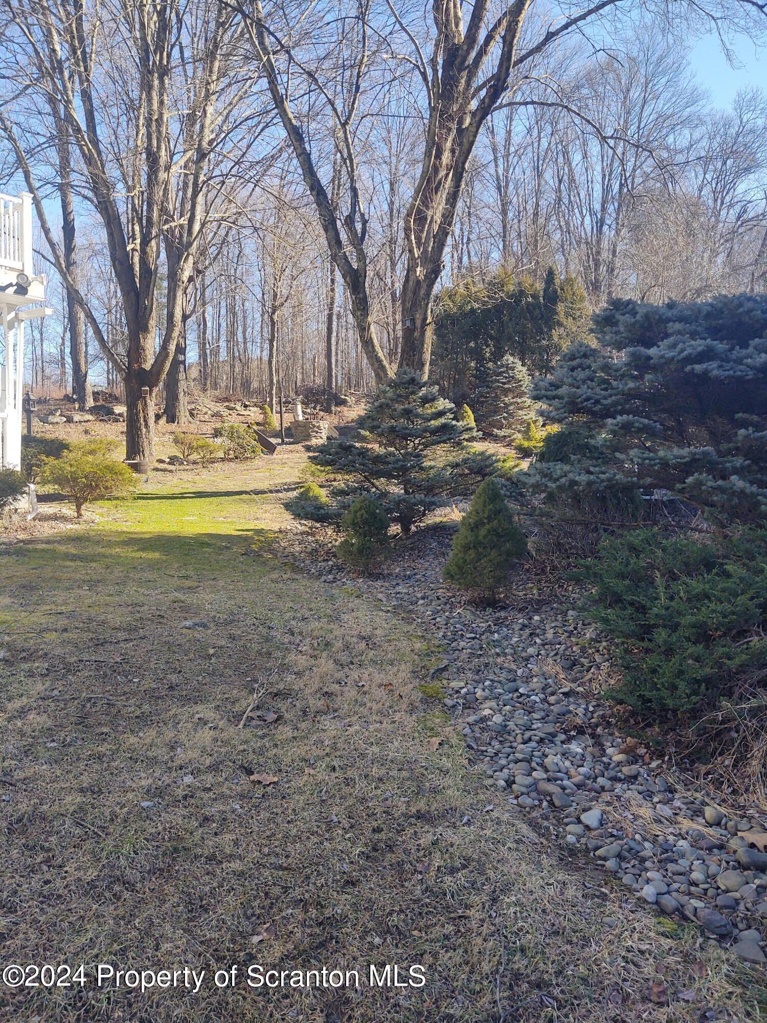 2401 Chase Road Shavertown, PA 18708 - Photo 13 of 19 a view of road with large trees