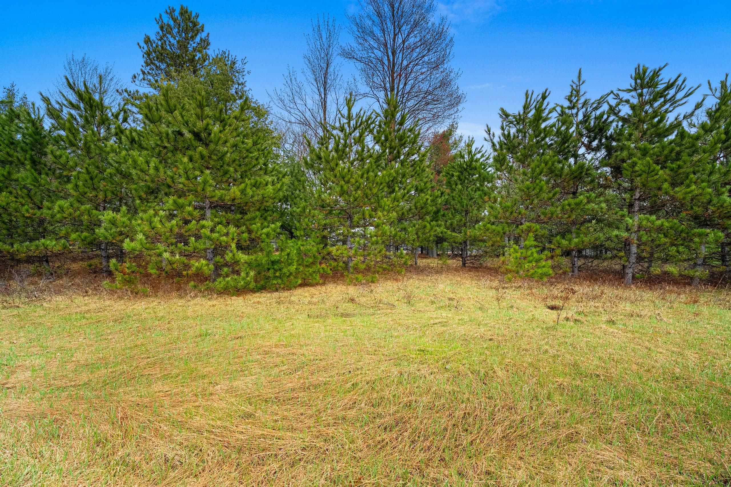 Russ Mainik Road Wausaukee, WI 54177 - Photo 6 of 23