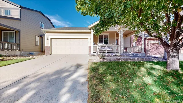 a view of backyard with tree