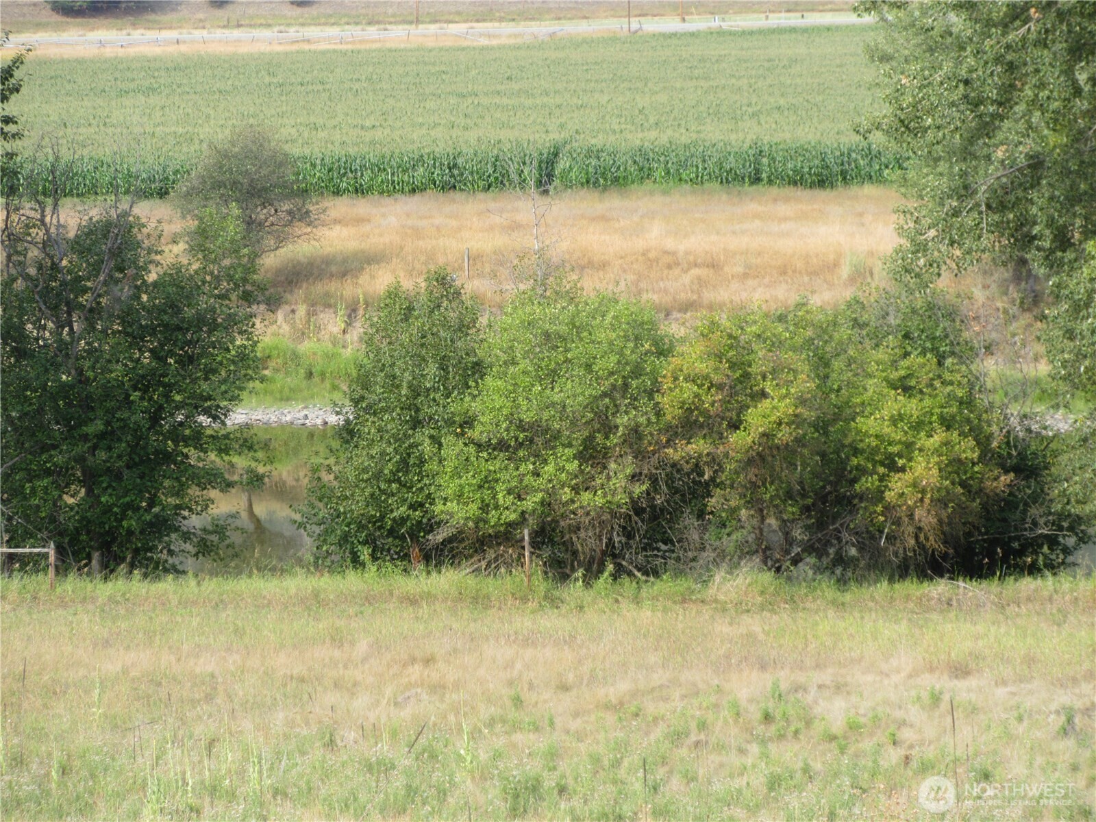 9999 Customs Road Curlew, WA 99118 - Photo 6 of 14 Gallery Image 6