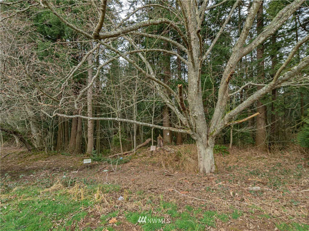 9333 Harvey Road Blaine, WA 98230 - Photo 6 of 22