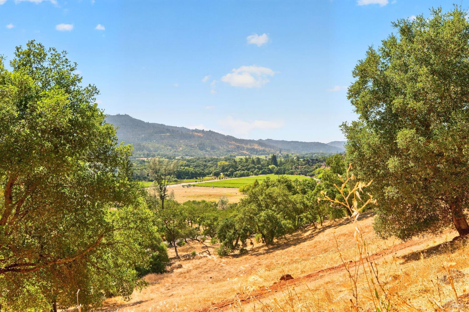 318 Crystal Springs Road St. Helena, CA 94574 - Photo 20 of 24 Gallery Image 20