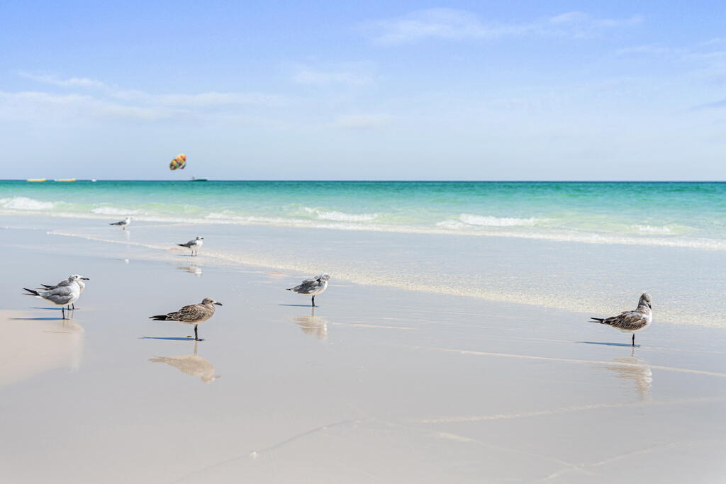 11 Tristram Way Miramar Beach, FL 32550 - Photo 22 of 77 69_1