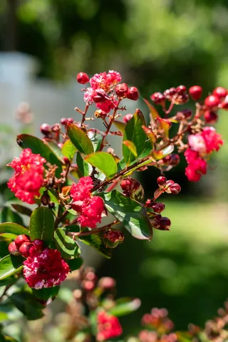 $1,649,000 | 11 Tristram Way, Miramar Beach, FL 32550