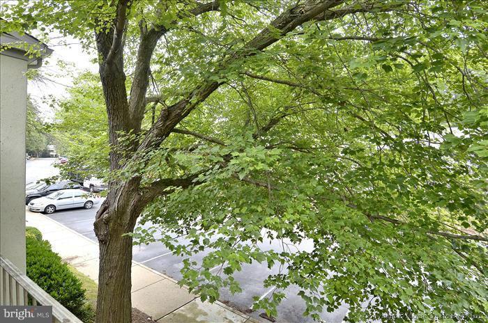 5903 Kingsford Road, Unit 379 Springfield, VA 22152 - Photo 8 of 30 View