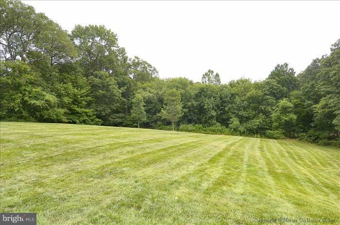 5903 Kingsford Road, Unit 379 Springfield, VA 22152 - Photo 10 of 30 Community