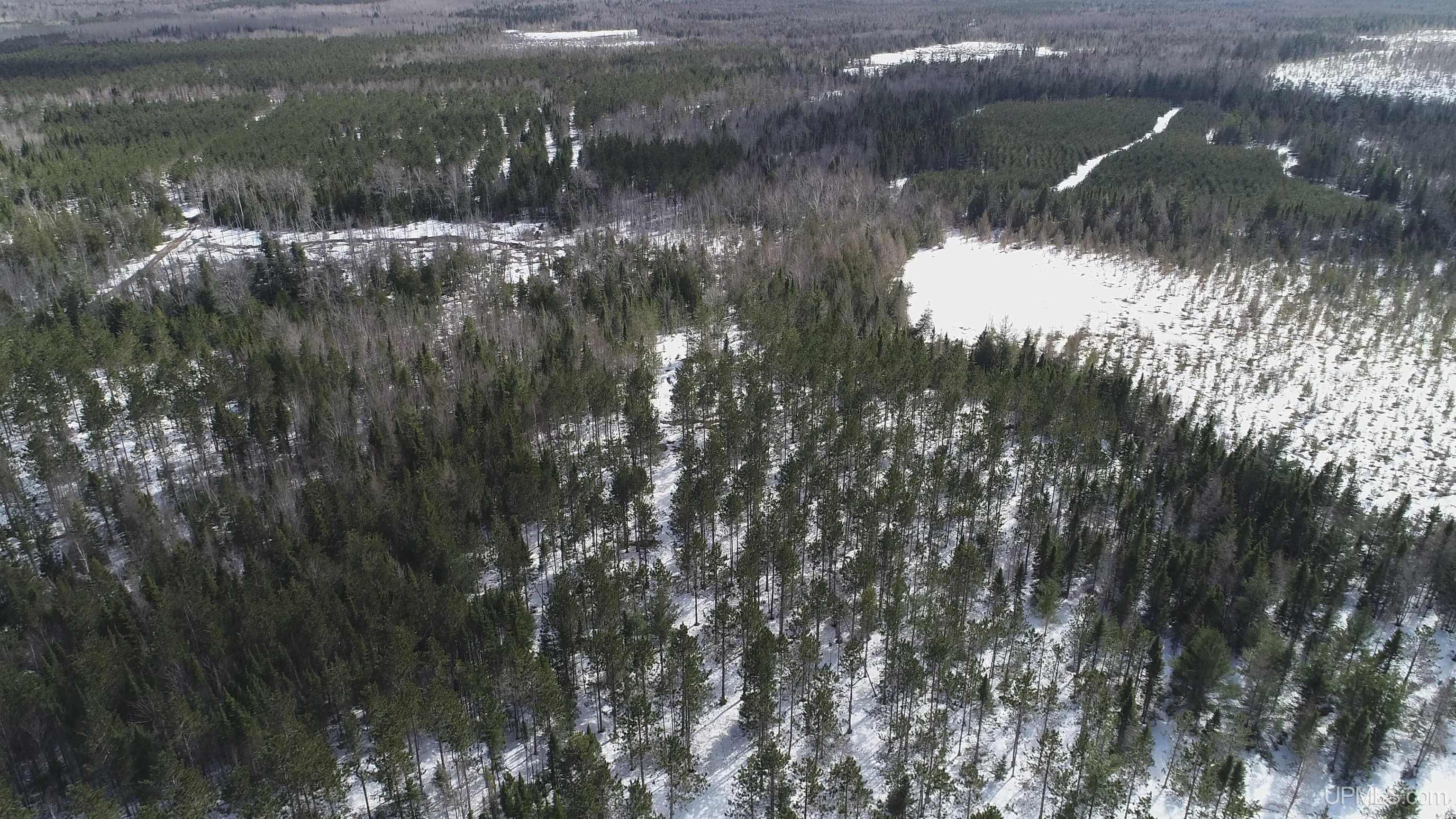 20-acres Off Flodin Road Manistique, MI 49854 - Photo 17 of 29