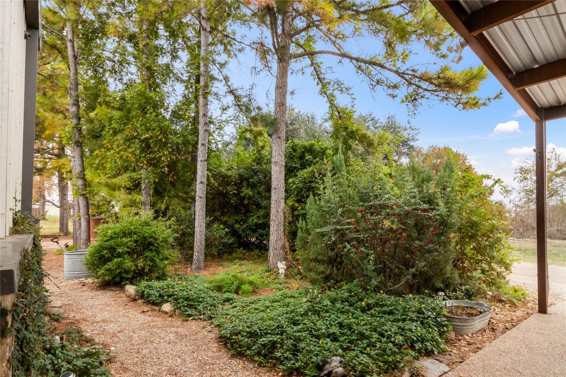 402 Magnolia Street Gause, TX 77857 - Photo 5 of 25 a view of a garden