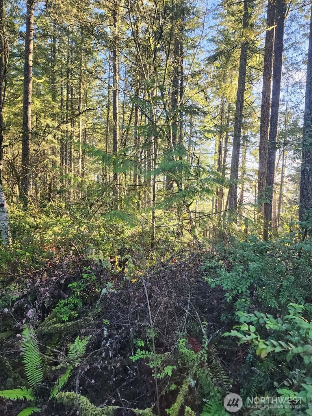 91 East Tepee Lane Belfair, WA 98528 - Photo 4 of 6