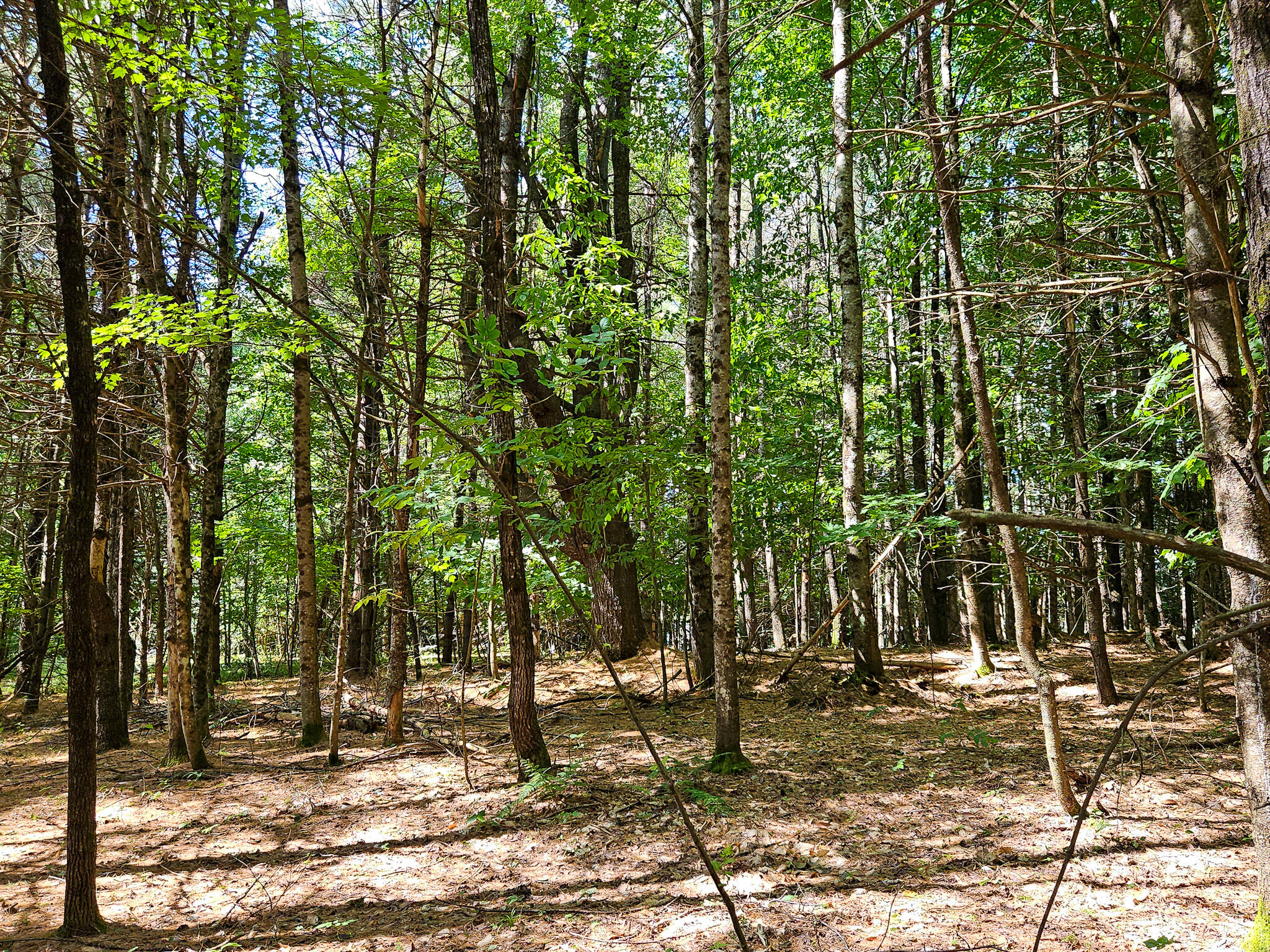 11-31-c Stone Hill Road Farmington, ME 04938 - Photo 18 of 22