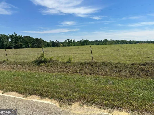 $3,200,000 | 2905 Donald Cobb Road, Bartow, GA 30413