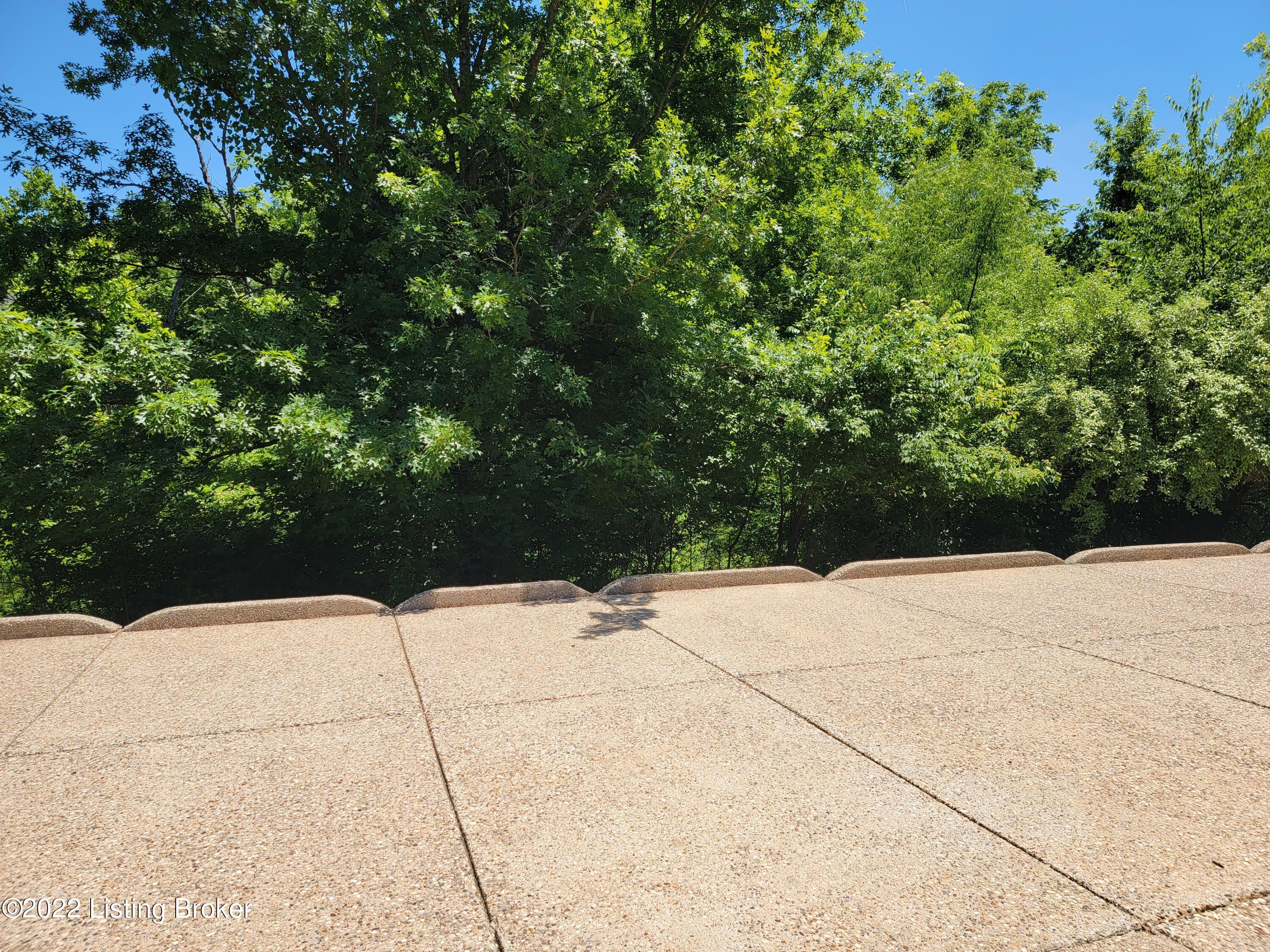 2708 Razor View Court Louisville, KY 40299 - Photo 64 of 76 20220609_142240