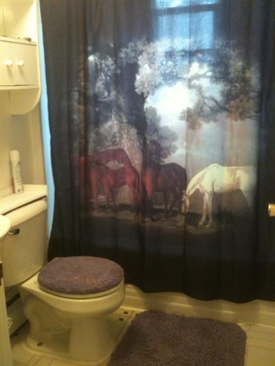 205 Lincoln Road Hyannis, MA 02601 - Photo 8 of 10 a bathroom with a toilet and a shower