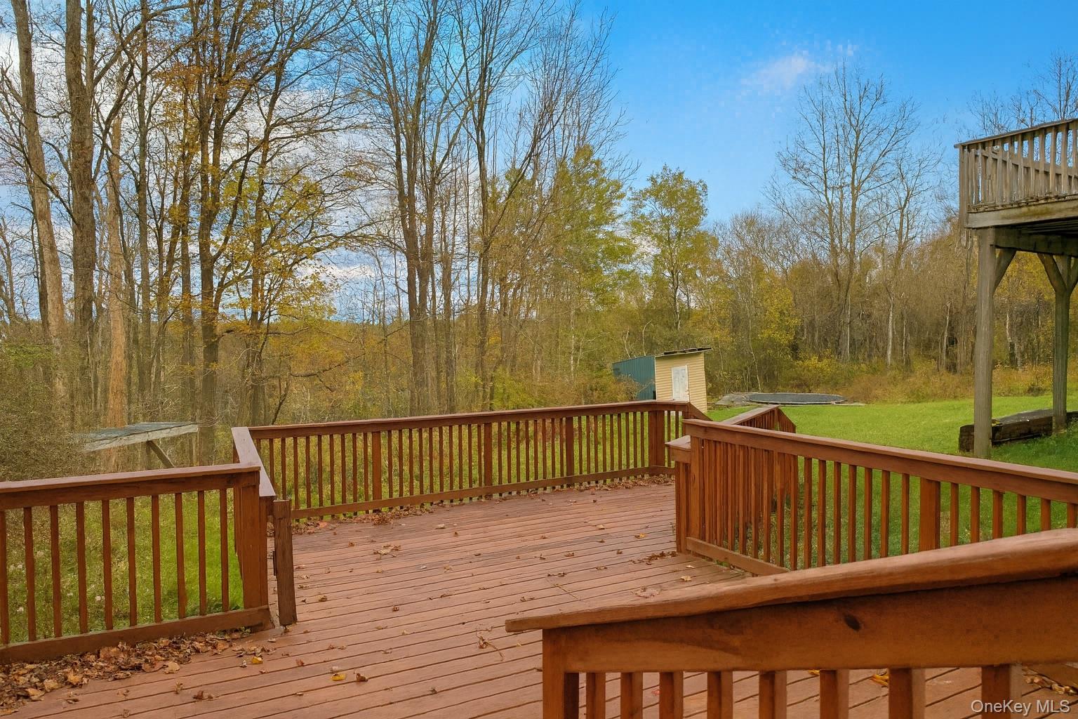88 Cold Spring Road Liberty, NY 12754 - Photo 31 of 32 Deck with a lawn and a shed
