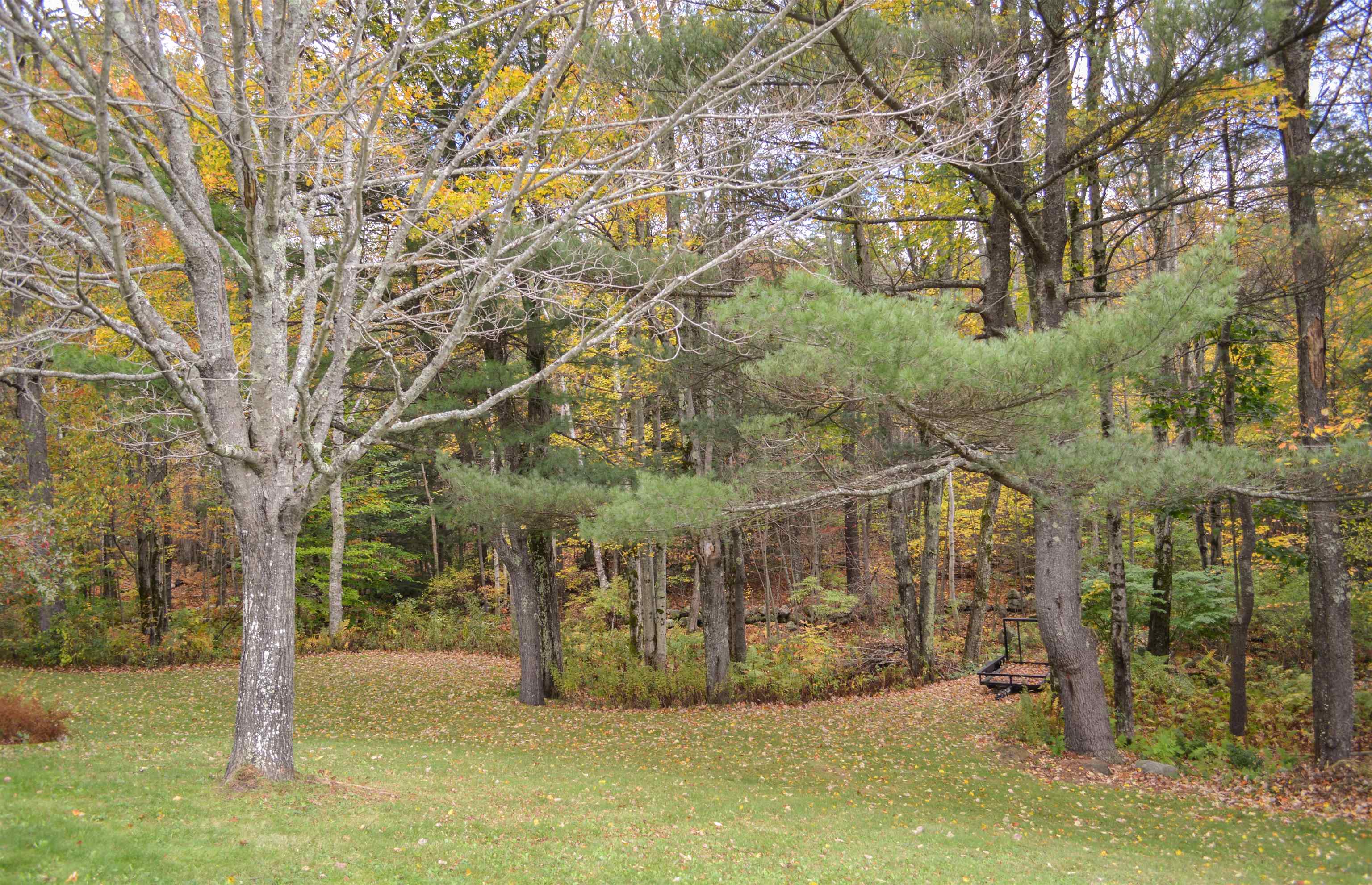 314 Breed Road Harrisville, NH 03450 - Photo 34 of 36