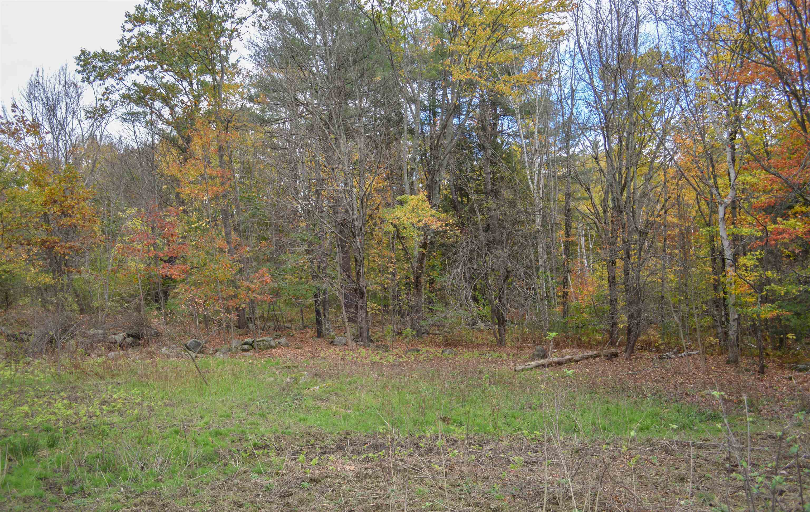 314 Breed Road Harrisville, NH 03450 - Photo 35 of 36