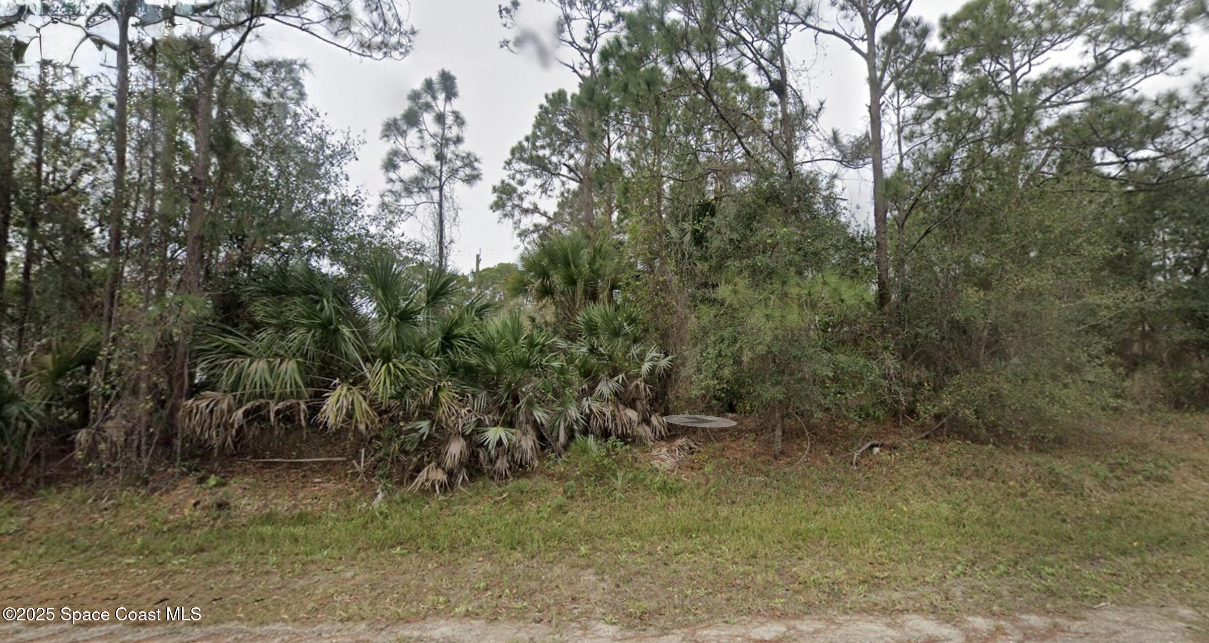 140 Santa Rosa Avenue Southwest Palm Bay, FL 32908 - Photo 1 of 1 a view of forest