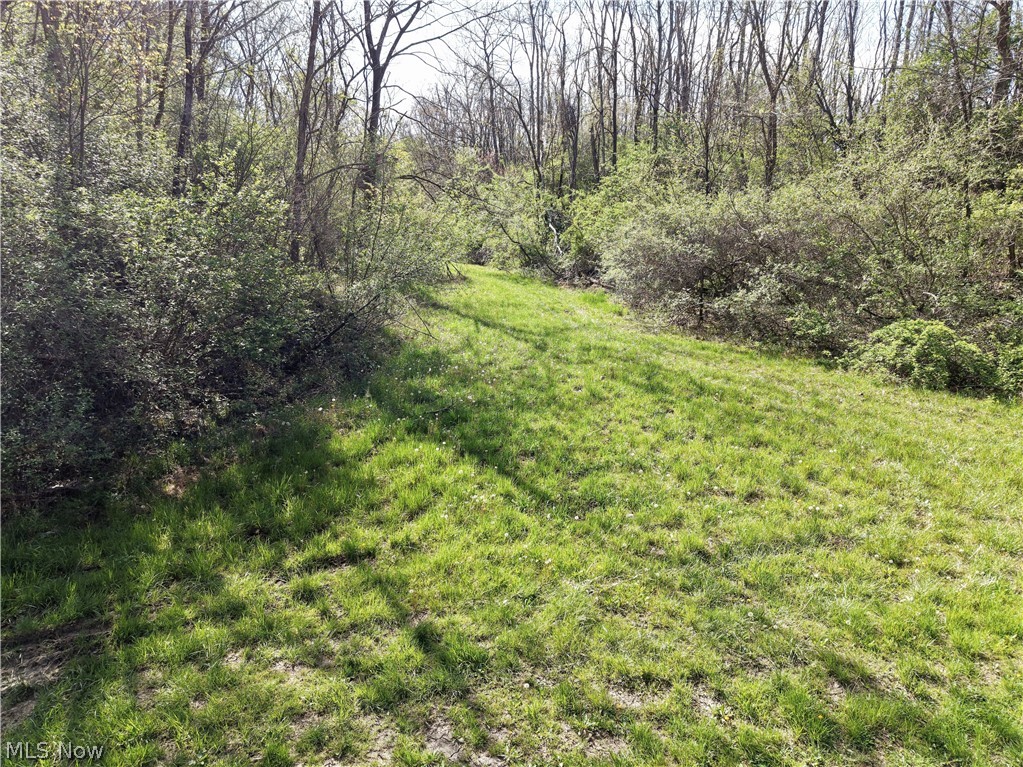 0 Harrons Ridge Road Dexter City, OH 45727 - Photo 22 of 29