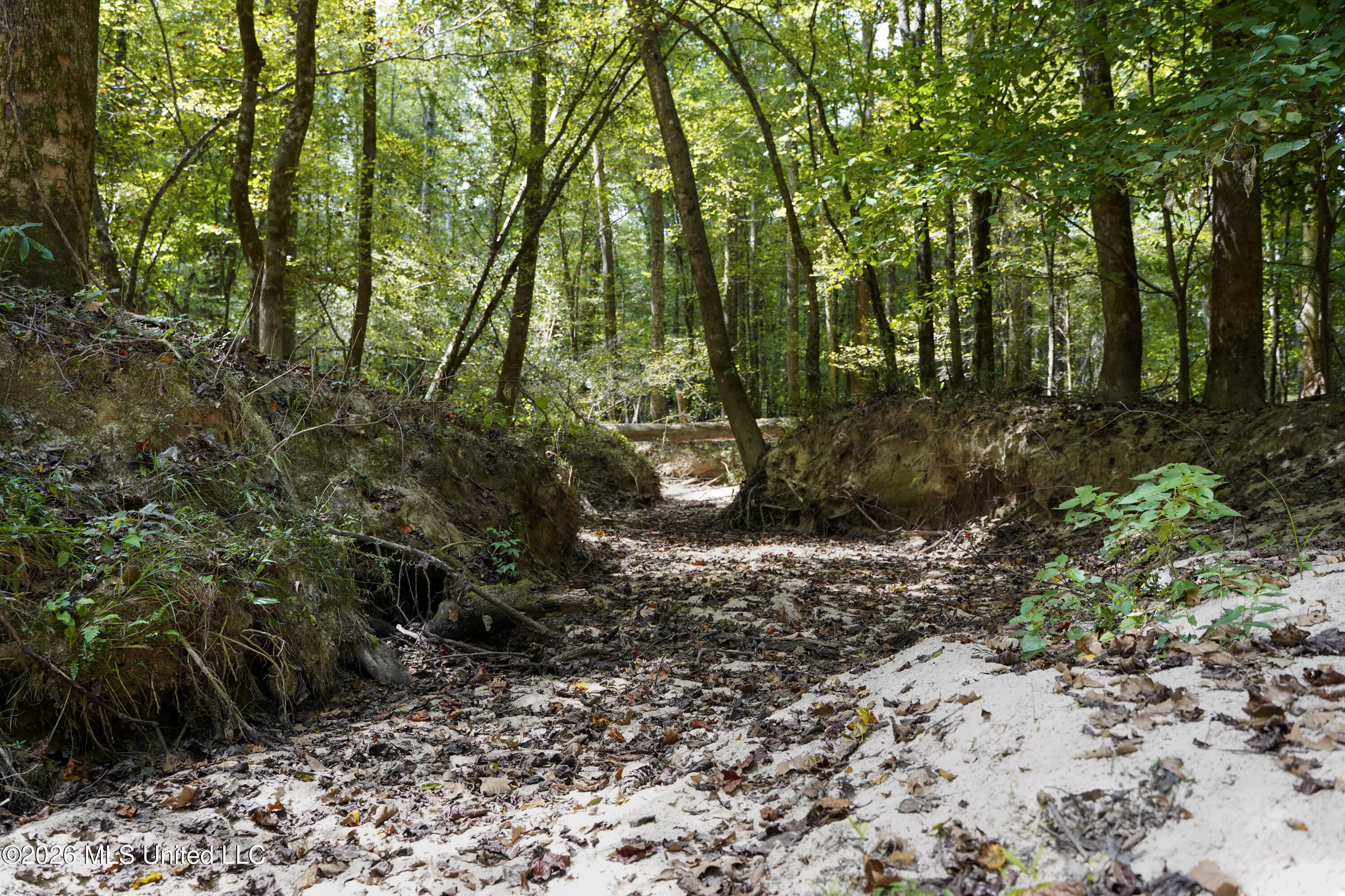Shiloh Road Brandon, MS 39042 - Photo 24 of 127 27-DSC08619