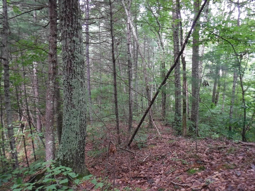 Lot 9 Greenwich Road Ware, MA 01082 - Photo 10 of 12 Gallery Image 10