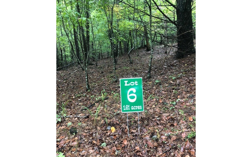 Lot 6 Hunters Ridge Road Morganton, GA 30560 - Photo 1 of 1 Main View