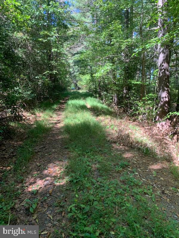 0 Raccoon Ford Road Culpeper, VA 22701 - Photo 11 of 14 Gallery Image 11